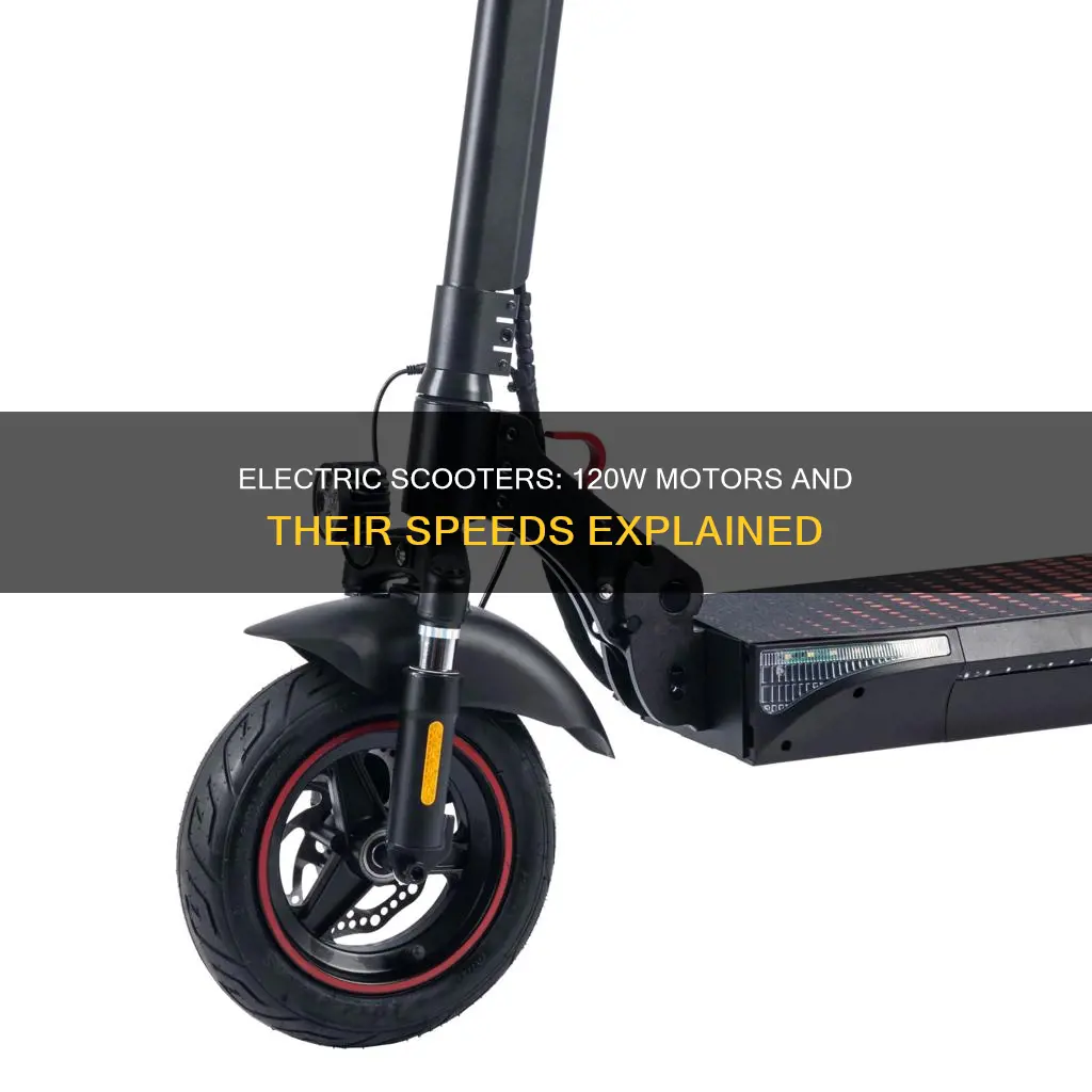 how fast do 120w electric scooters go
