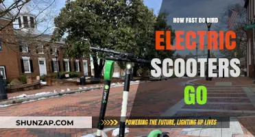 Bird Electric Scooters: How Fast and Furious?
