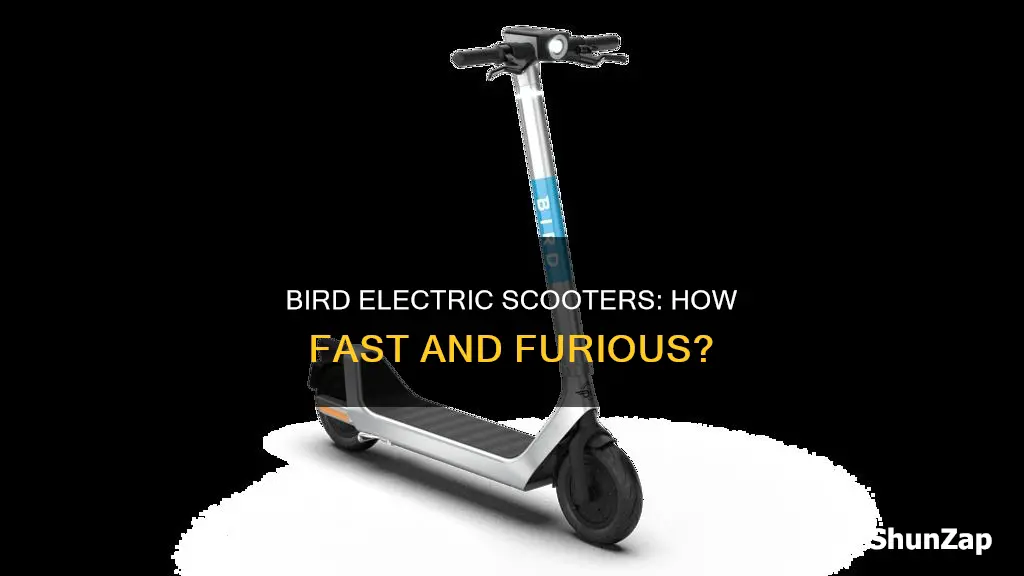 how fast do bird electric scooters go