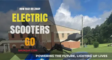 Ziggy Electric Scooters: How Fast Can They Go?