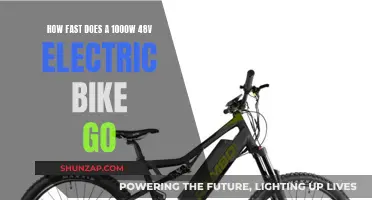 Electric Bike Speed: 1000W Power and 48V Voltage