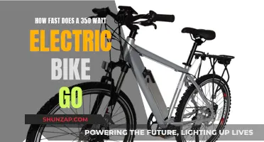 Electric Bike Speed: 350 Watts, How Fast Can You Go?