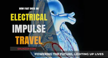 Electrical Impulses: Speed and Efficiency