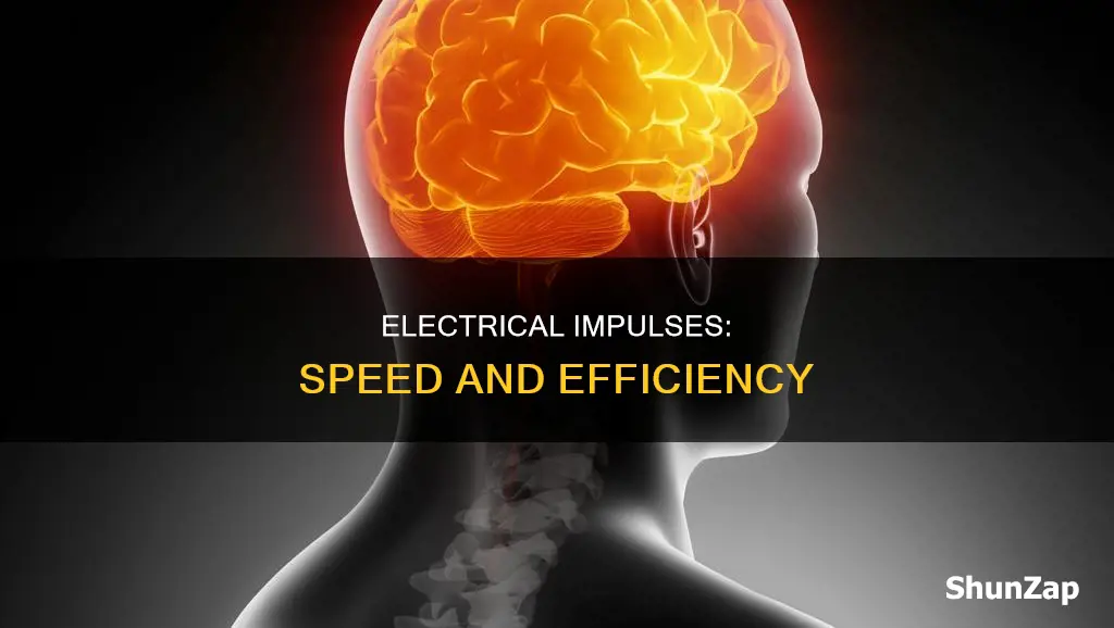 how fast does an electrical impulse travel