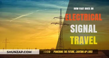 Electrical Signals: Speed and Efficiency