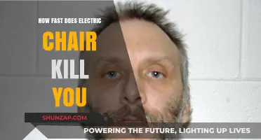 Electric Chair Execution: How Fast is Death?
