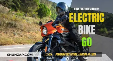 Exploring the Speed of Harley's Electric Bike Revolution