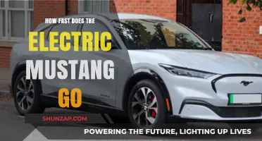 The Electric Mustang: Speed and Power