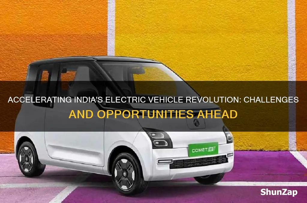 how fast india can adopt electric cars