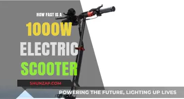 Electric Scooters: Unbelievably Quick, Environmentally Friendly