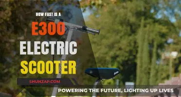 Exploring the E300 Electric Scooter's Impressive Speed