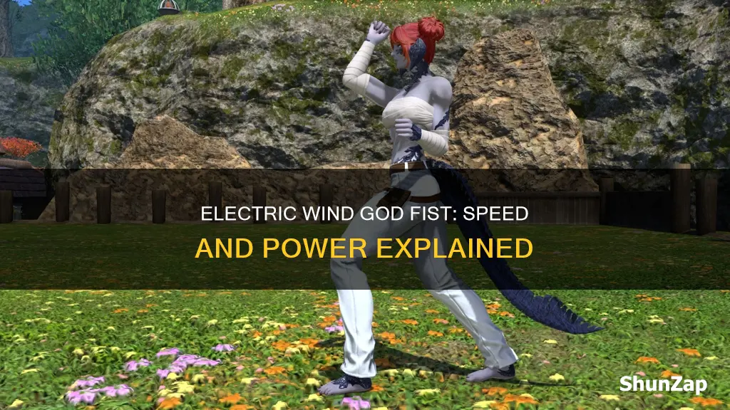 how fast is electric wind god fist