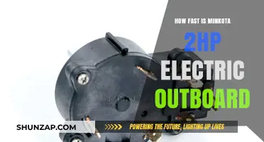 Minkota 2HP Electric Outboard: Fast and Furious?
