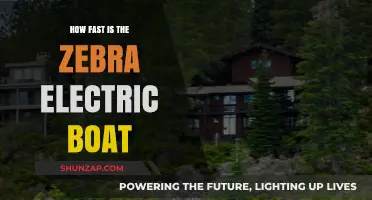 Exploring the Zebra Electric Boat's Impressive Speed