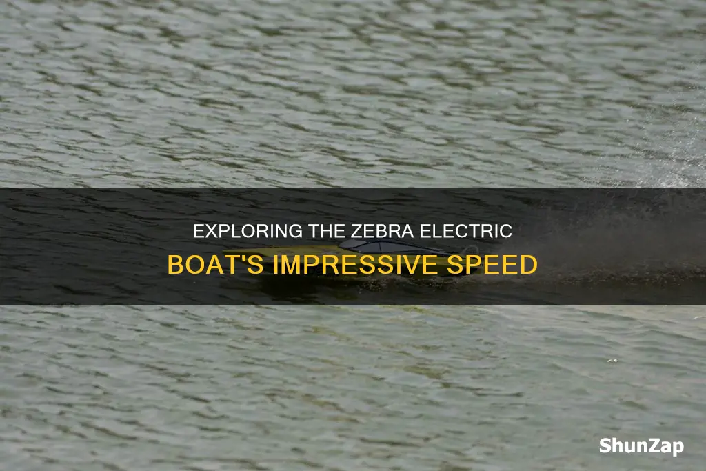 how fast is the zebra electric boat