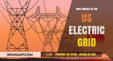 The US Electric Grid: A Precarious Power Balance