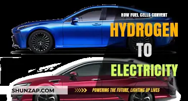 Fuel Cells: Powering the Future with Hydrogen