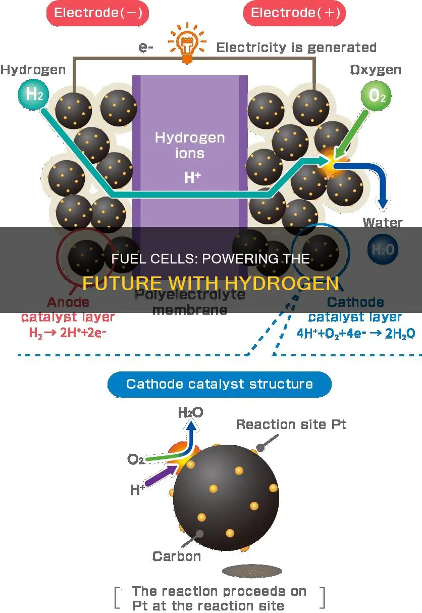 how fuel cells convert hydrogen to electricity