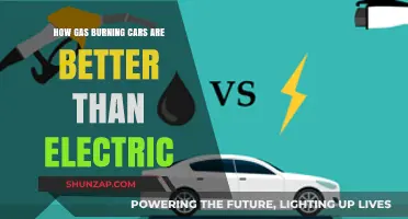 Gas-Powered Cars: Reliability, Range, and Cost Advantages Over Electric Vehicles