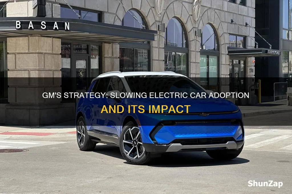 how gm & slow down electric car