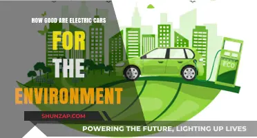 Electric Cars: Eco-Friendly Revolution or Greenwashed Hype?
