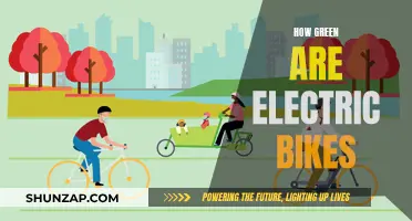 Electric Bikes: Green Revolution or Greenwashing?