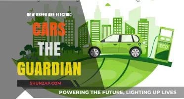 Electric Cars: Unveiling Their True Environmental Impact - The Guardian