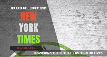 Electric Vehicles: Green Revolution or Greenwashing?