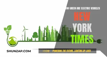 Electric Vehicles: Green Revolution or Greenwashing?