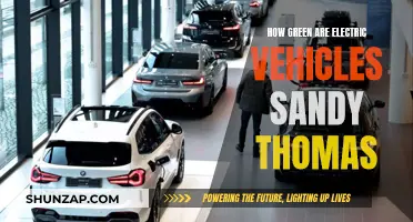 Green Energy, Green Machines: Sandy Thomas' Electric Vehicle Revolution