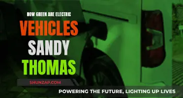 Are Electric Vehicles Really Green? Sandy Thomas Explains