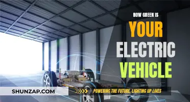 Electric Vehicles: Green or Greenwashing?