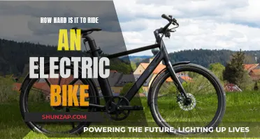 Electric Bikes: Easy to Ride, Hard to Resist?