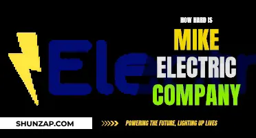 Is Mike's Electric Company Tough Enough for Your Home?