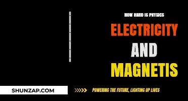 Understanding the Challenge of Electricity and Magnetism in Physics