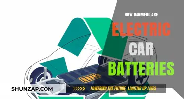 Electric Car Batteries: Uncovering Their Environmental and Health Impacts