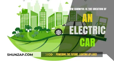 Electric Cars: Uncovering the Hidden Environmental and Social Costs