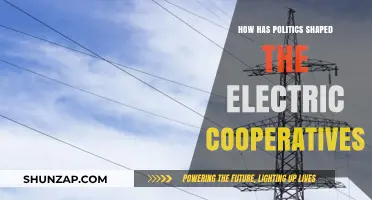 Politics' Influence on Electric Cooperatives: A Historical Perspective