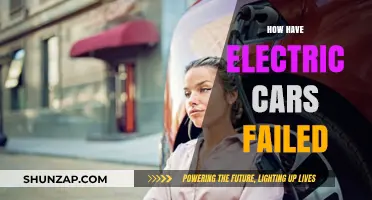 Electric Cars: Unmet Expectations and Persistent Challenges in Adoption