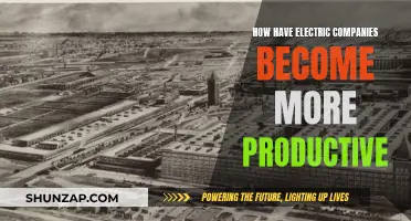 Electric Companies: Strategies for Enhanced Productivity