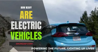 The Weighty Matter of Electric Vehicles