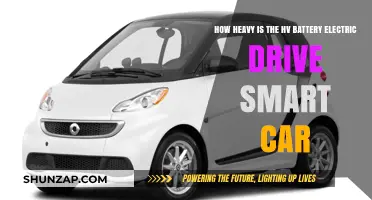 Unveiling the Weight: HV Battery Electric Drive Smart Car's Mass Explored