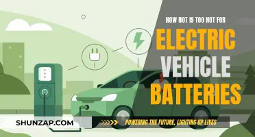 The Heat Challenge: Electric Vehicle Batteries' Temperature Thresholds