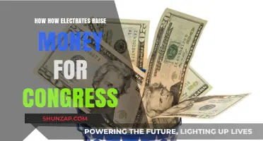 Electrates' Strategies for Raising Money for Congress