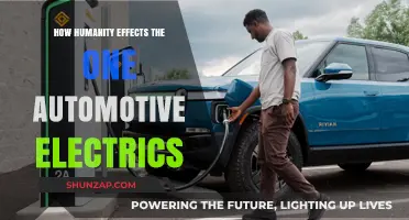 Human Impact: Automotive Electrics' Future