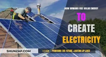 Harnessing the Sun: How Humans Convert Solar Energy to Electricity