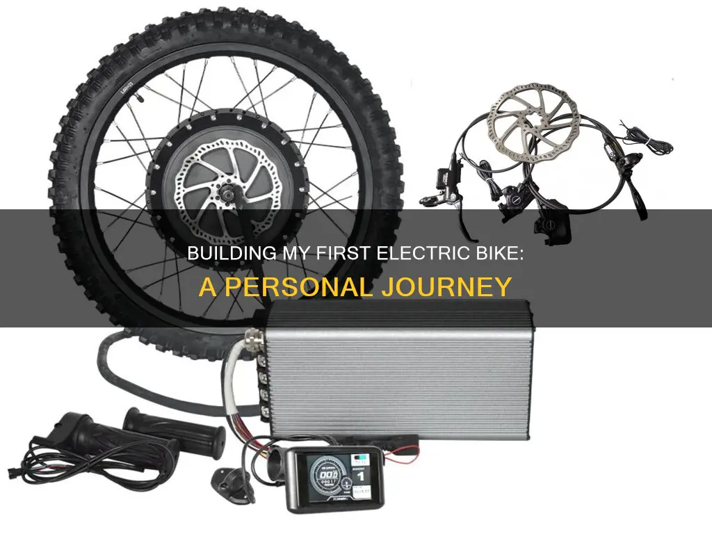 how i built my first electric bike