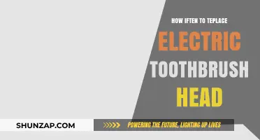 Electric Toothbrush Heads: How Often Should You Replace Them?