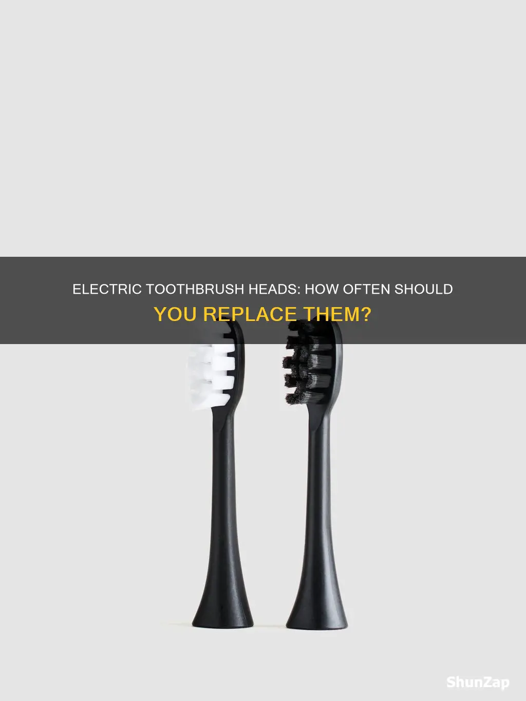how iften to teplace electric toothbrush head