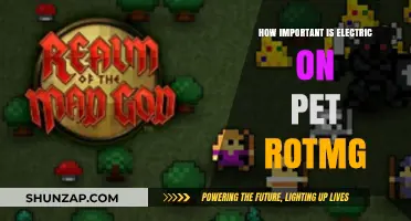 Electric's Importance in Realm of the Mad God